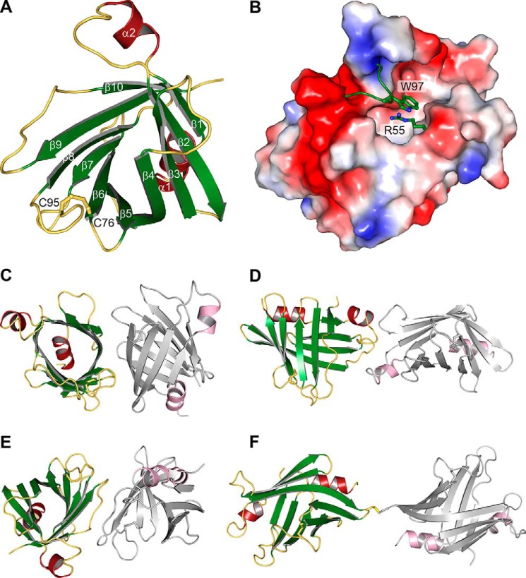 FIGURE 2.