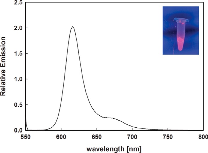 FIGURE 5.