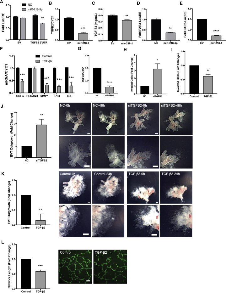 Figure 6