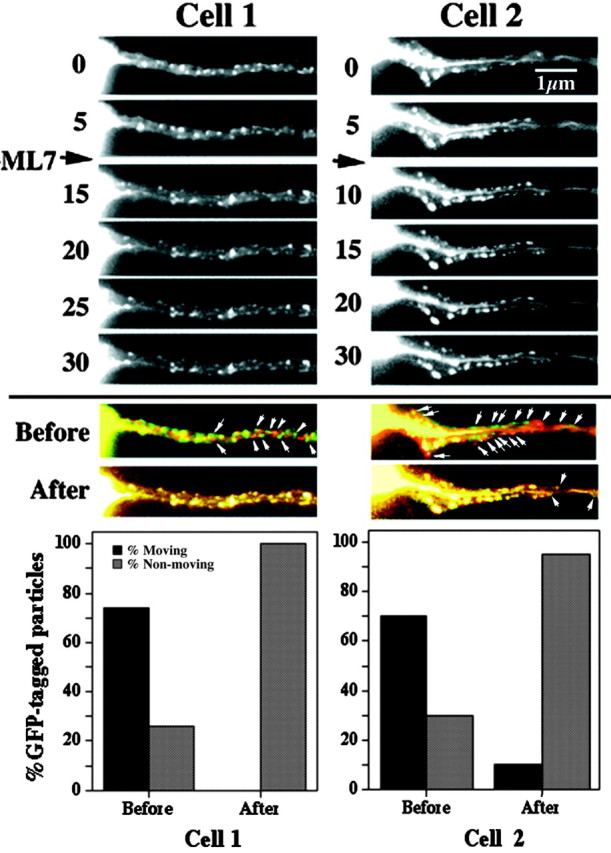 
Figure 11.
