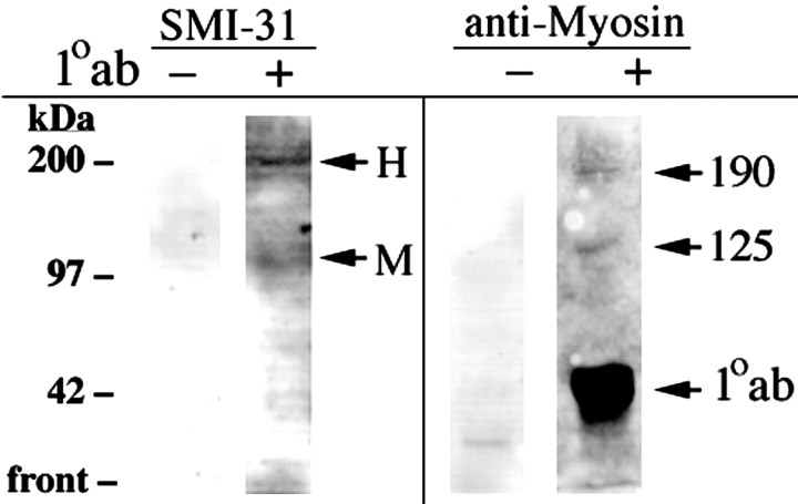 
Figure 9.
