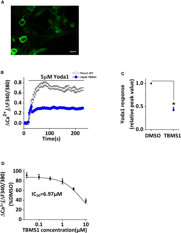 Figure 4