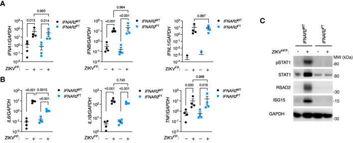 Figure 2