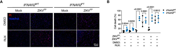 Figure 6