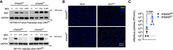 Figure 3