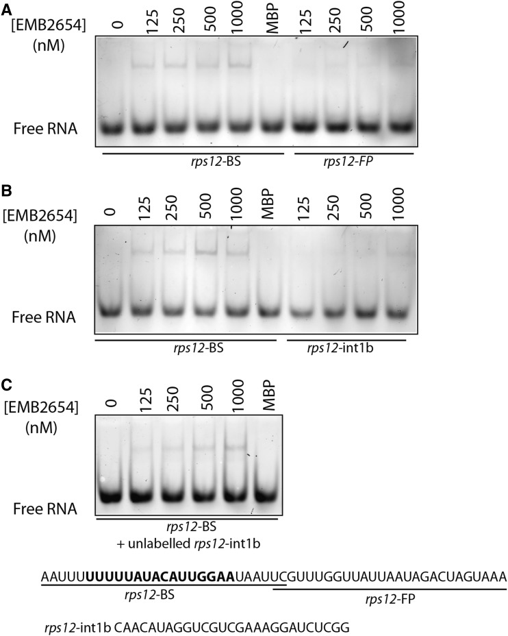 Figure 6.