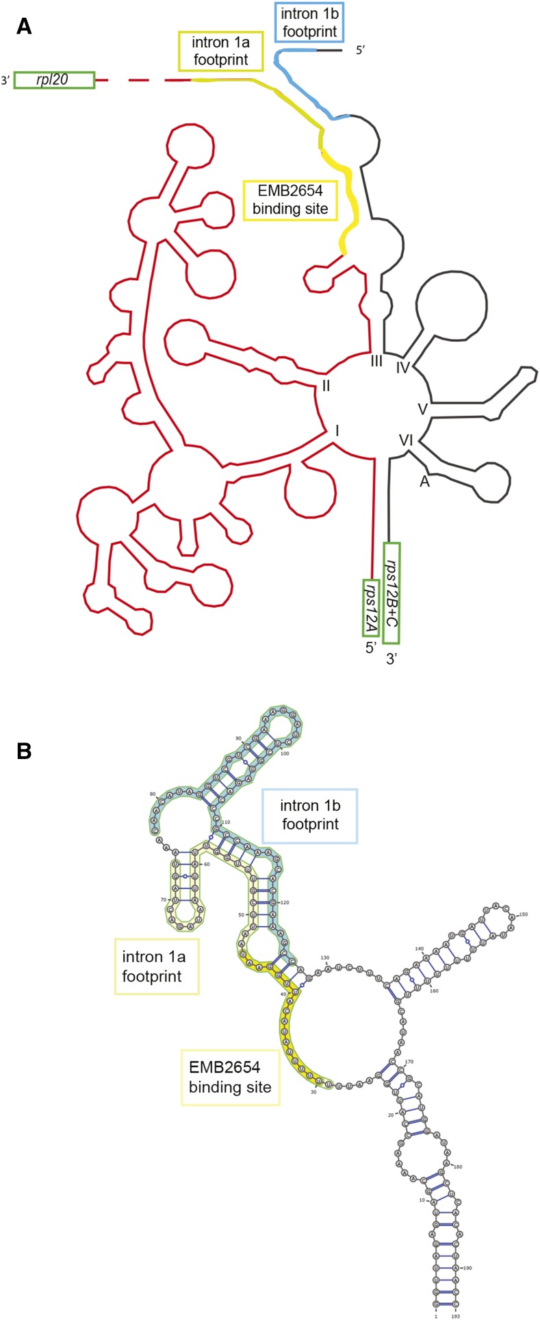 Figure 7.