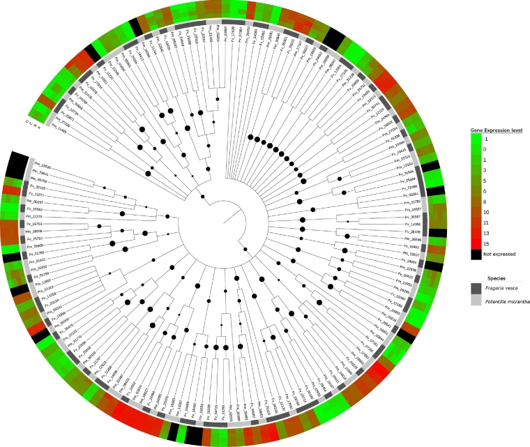 Figure 7: