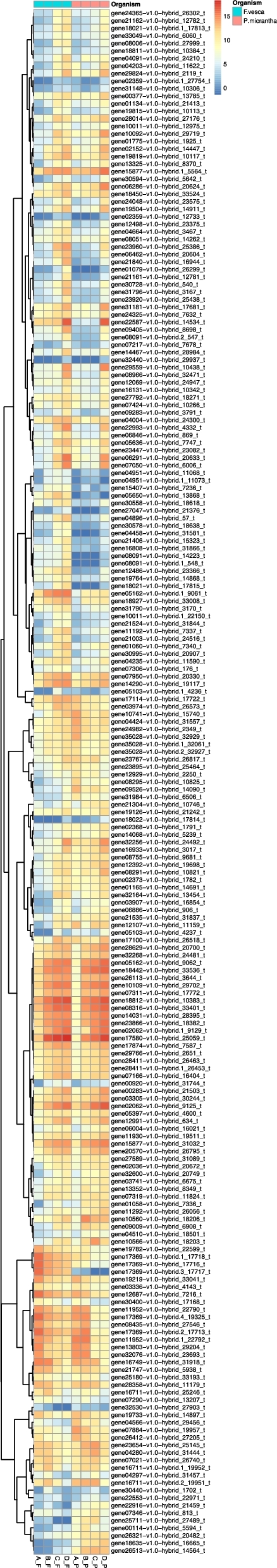 Figure 6: