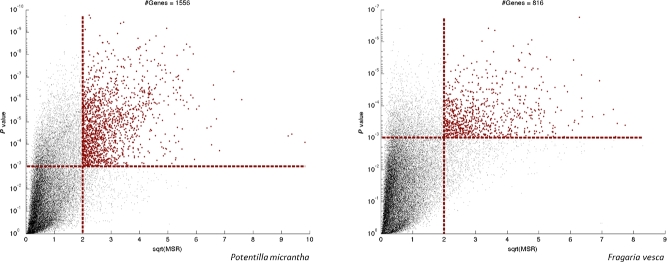 Figure 4: