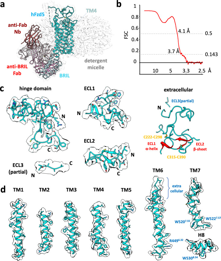 Figure 1—figure supplement 4.