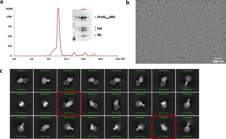 Figure 1—figure supplement 2.