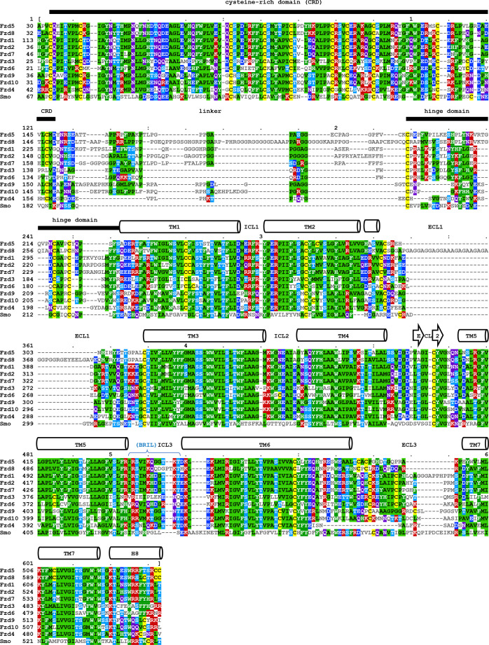 Figure 1—figure supplement 1.