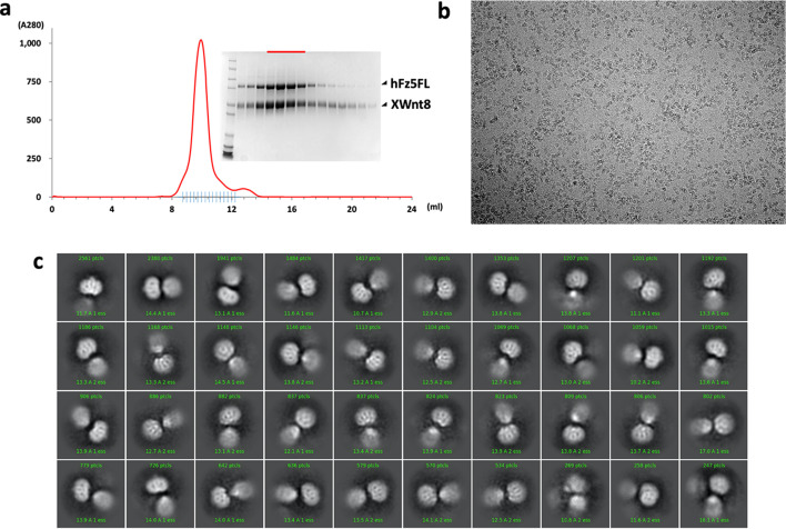 Figure 1—figure supplement 5.