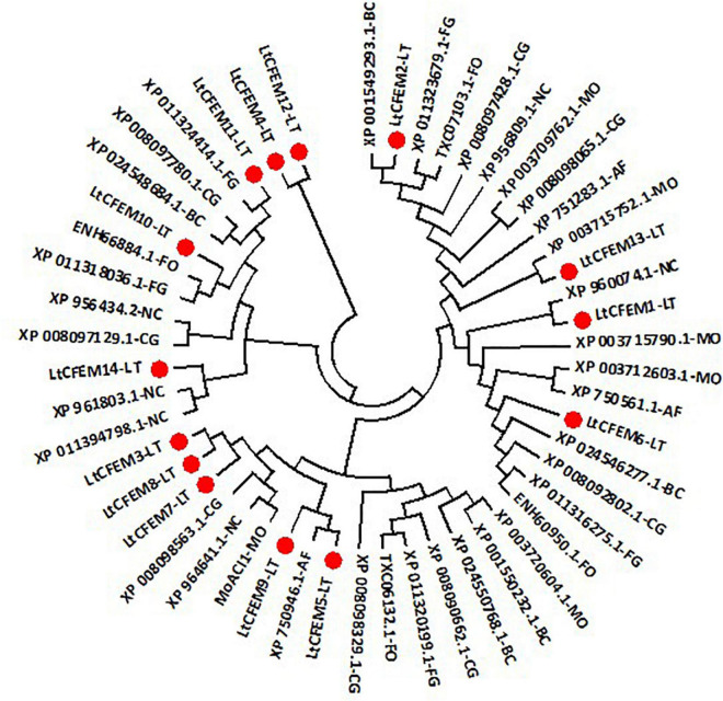 FIGURE 2