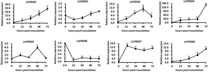 FIGURE 4