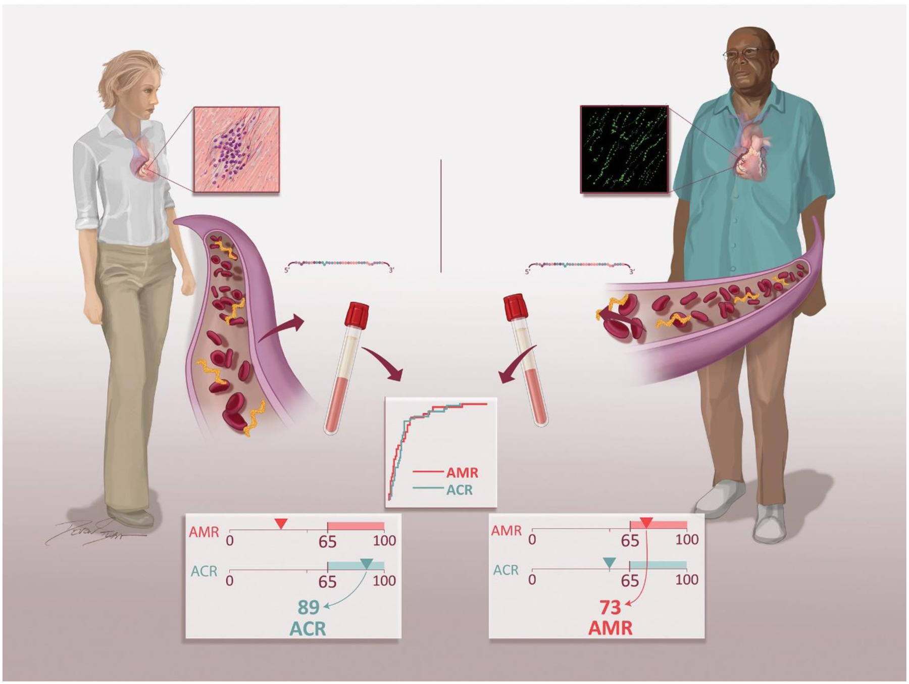 Figure 6: