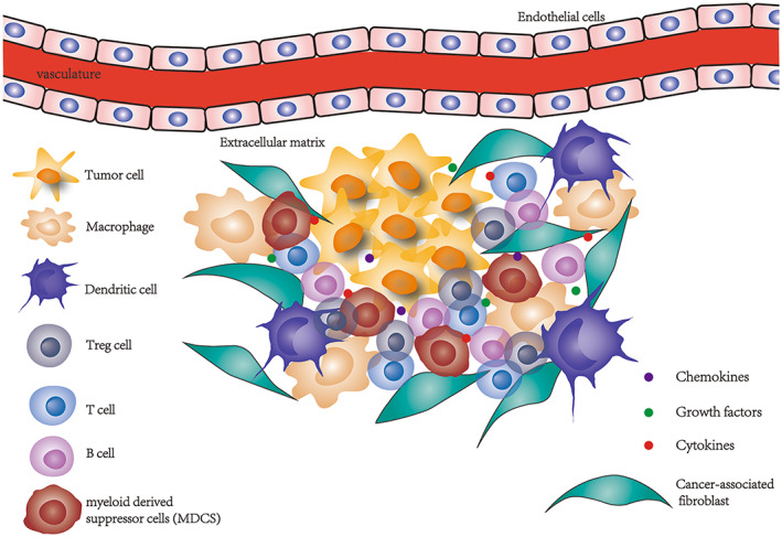 FIGURE 1