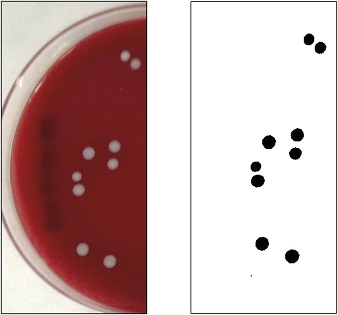 FIG. 1.