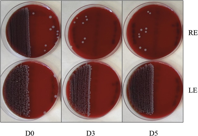 FIG. 2.