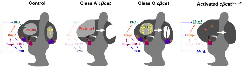 Fig. 8.