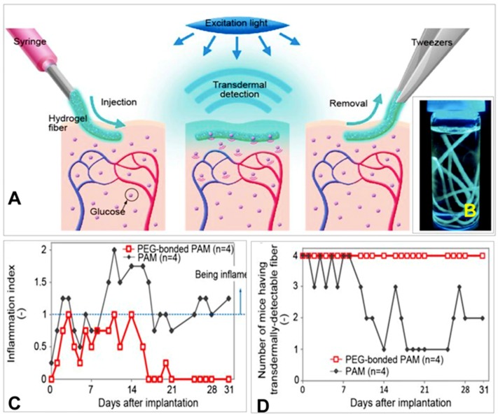 Figure 22