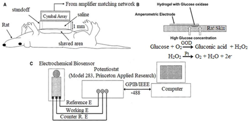 Figure 17