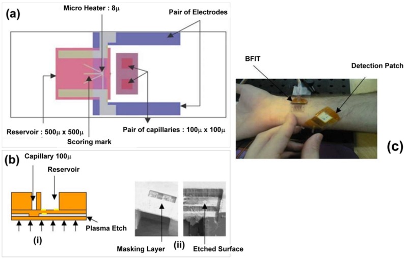 Figure 19