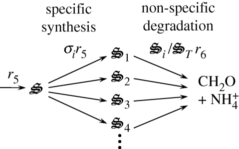 Figure 2.