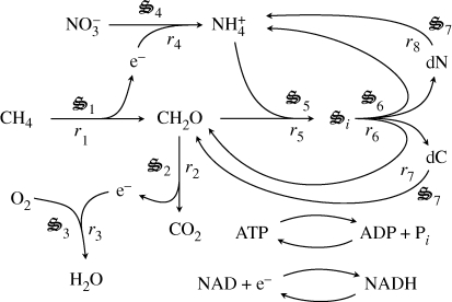 Figure 1.