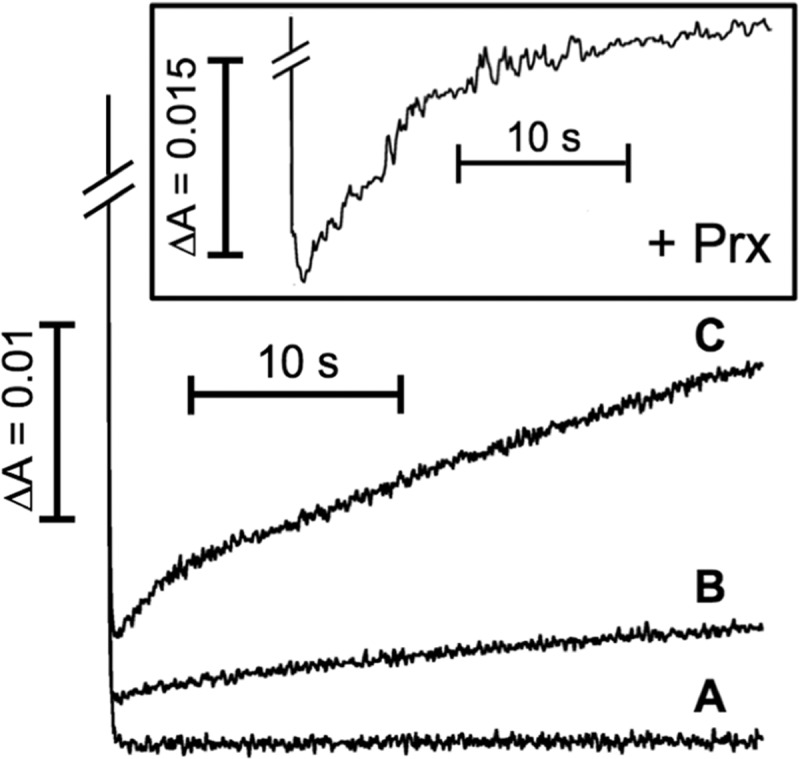 FIGURE 4.