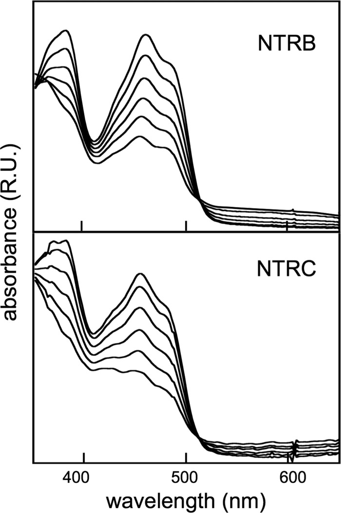 FIGURE 1.