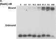 Figure 1—figure supplement 2.