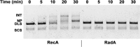 Figure 4—figure supplement 4.