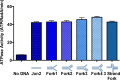 Figure 2—figure supplement 1.