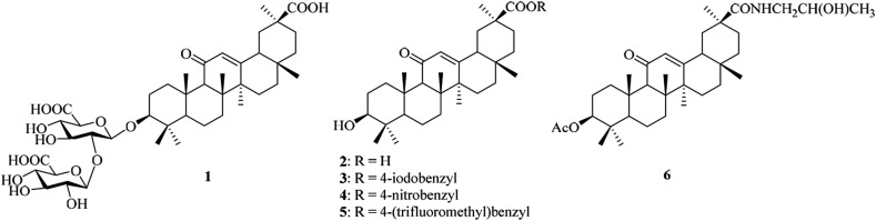 Fig. 1