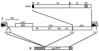 FIG. 1