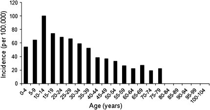 Fig. 4