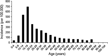 Fig. 3