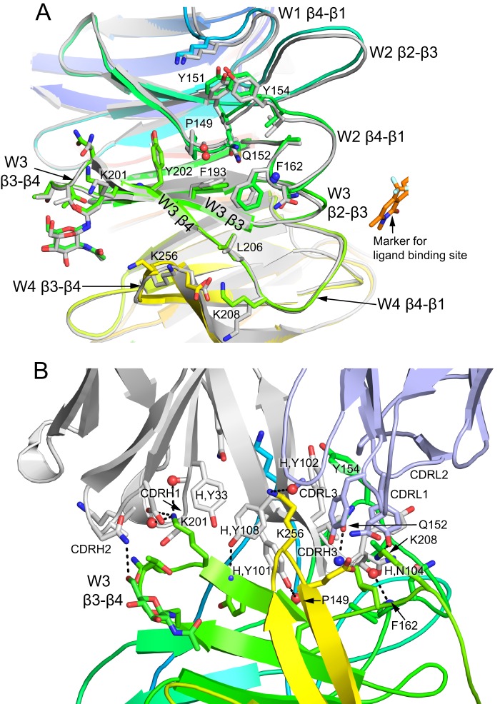 FIGURE 4.