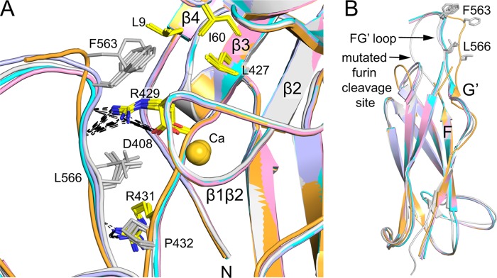 FIGURE 3.