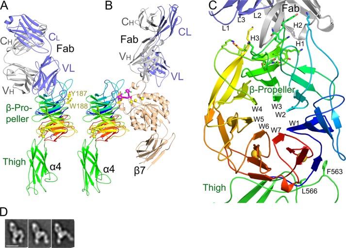 FIGURE 1.