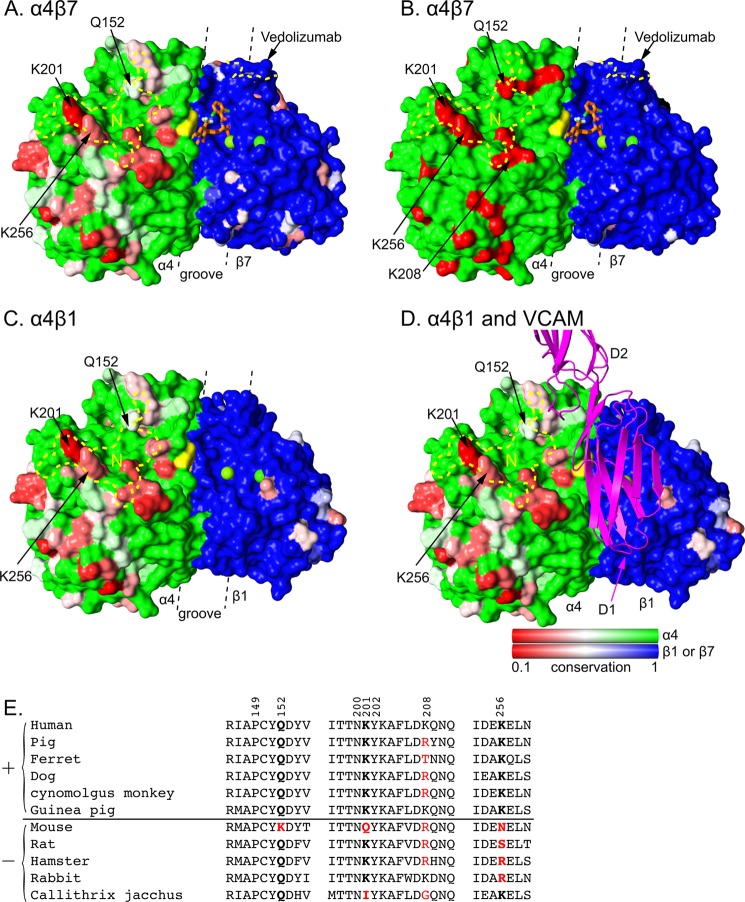 FIGURE 5.