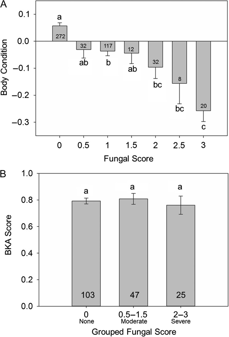 Figure 6: