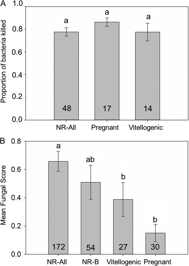 Figure 5: