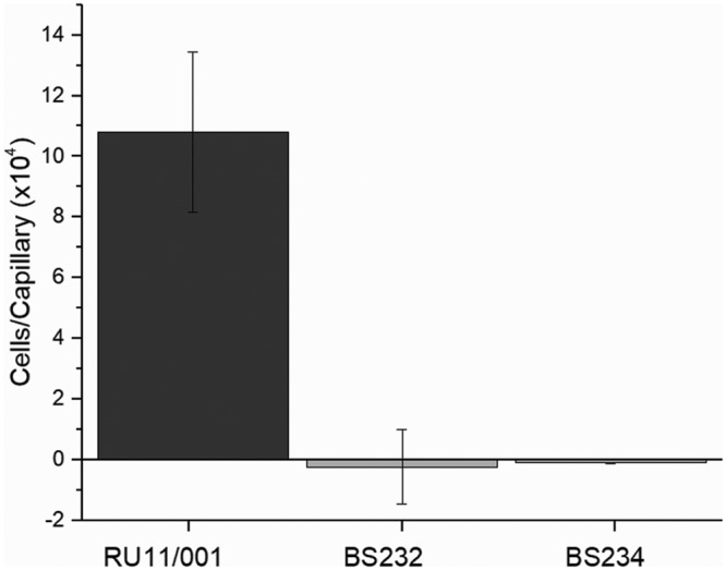 FIG 6