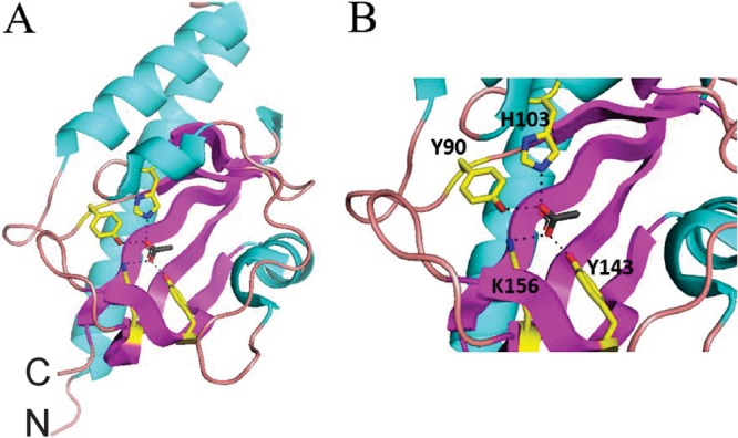 FIG 1