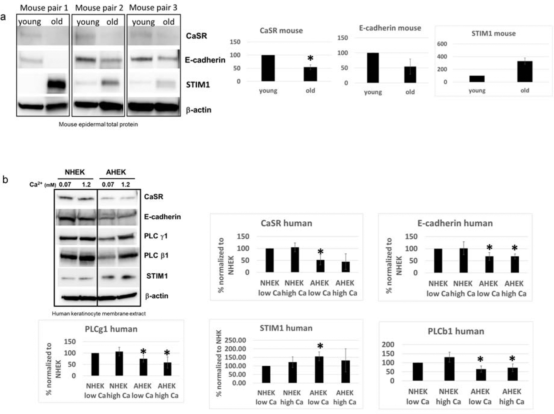 Figure 2: