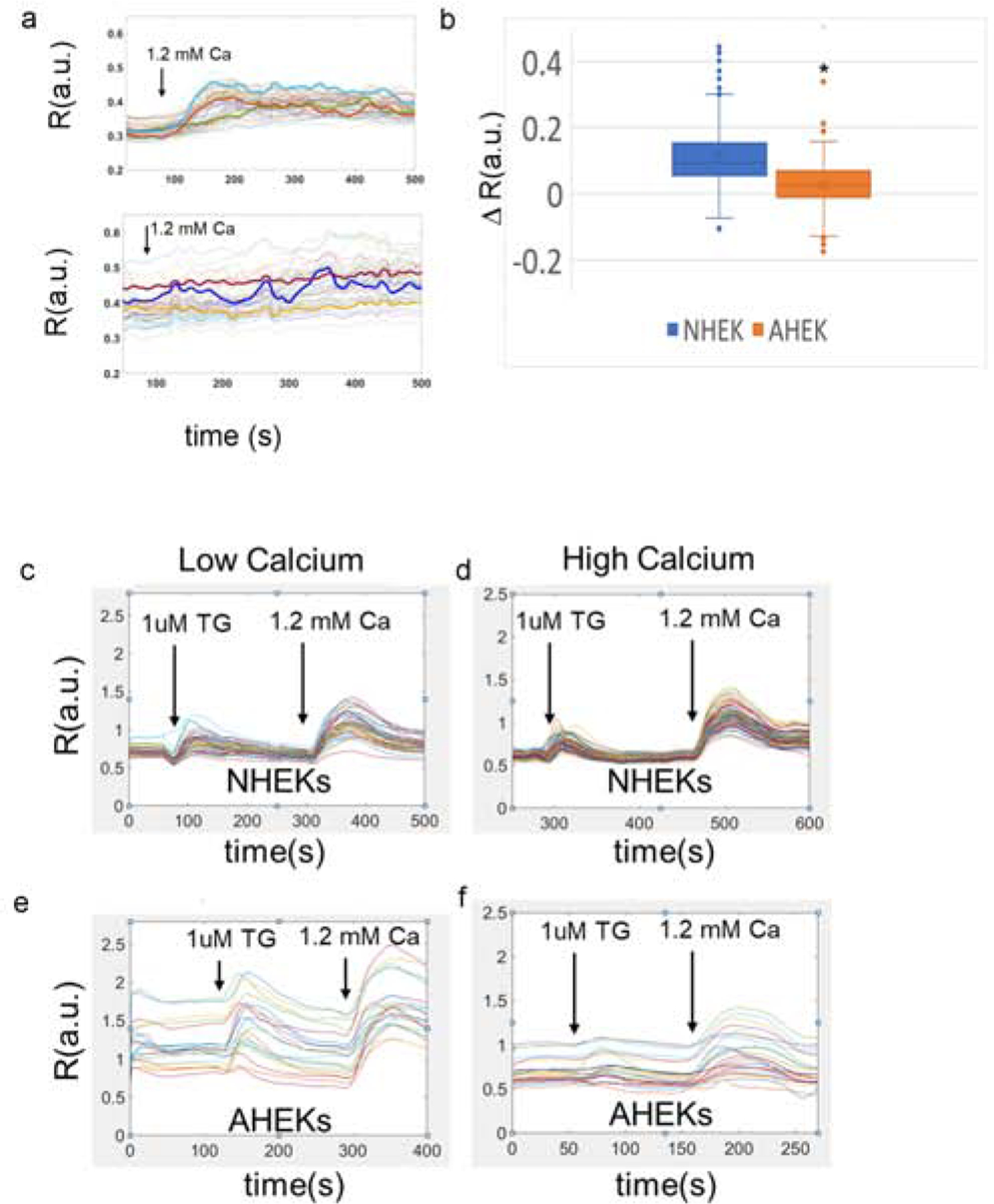 Figure 1: