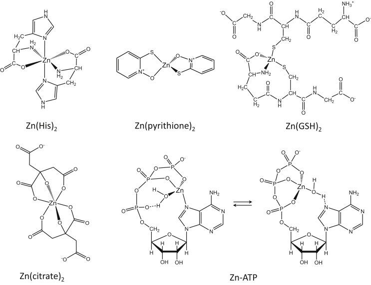 Fig. 6